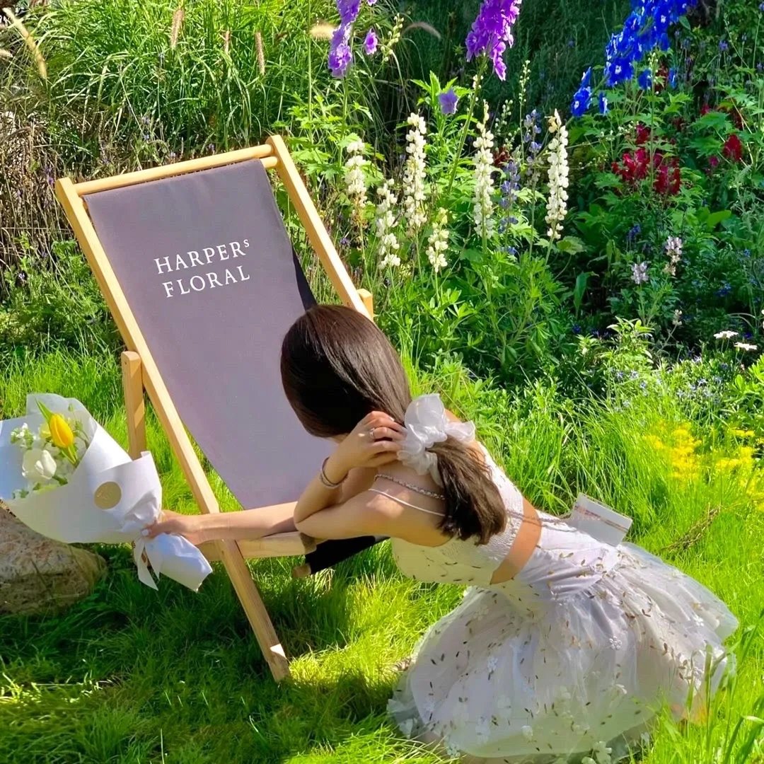 探险家：最后的特普伊山